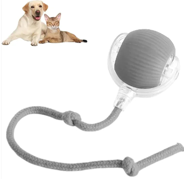 Smart Interactive Rolling Ball Toy for Dogs & Cats – 360° Automatic Motion & Play