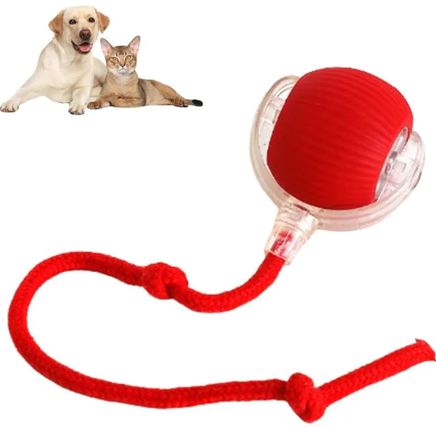 Smart Interactive Rolling Ball Toy for Dogs & Cats – 360° Automatic Motion & Play