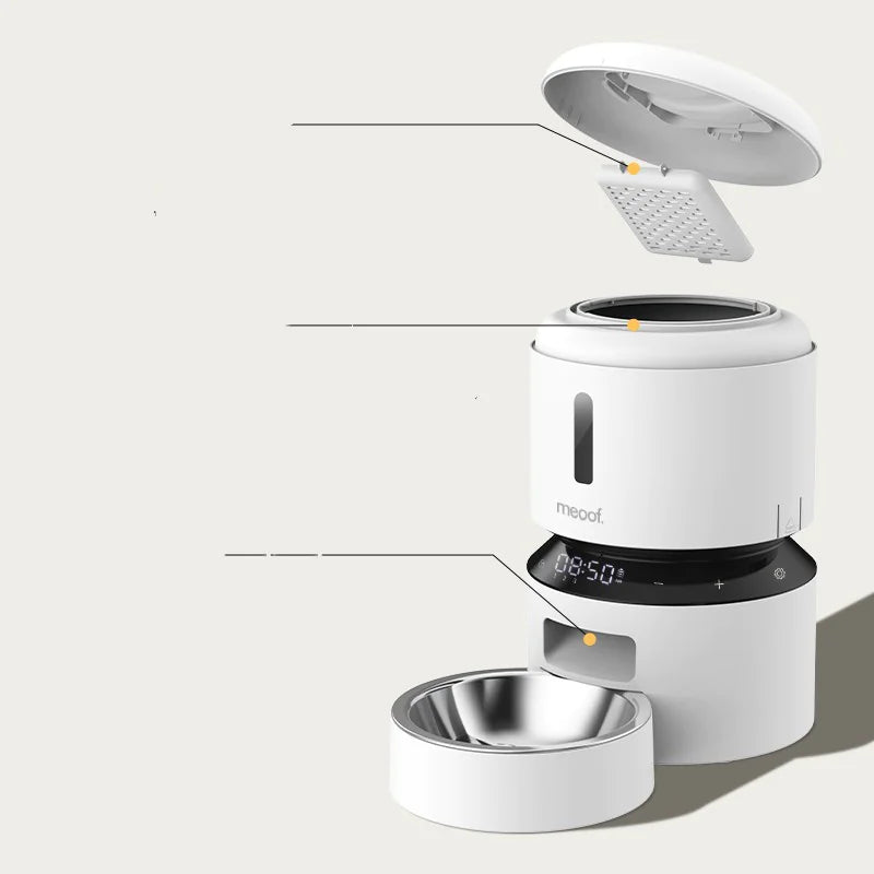 Cat Feeder with Dual Bowls