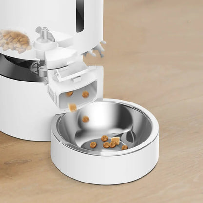 Cat Feeder with Dual Bowls
